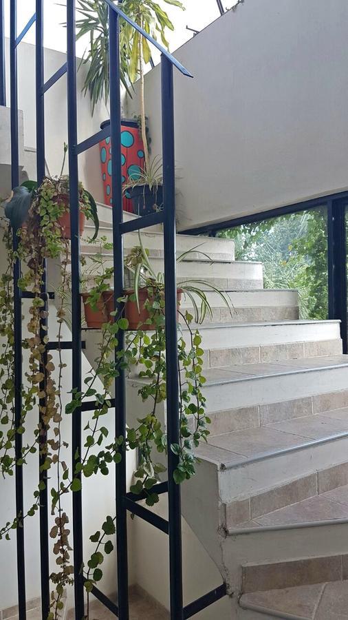 Guest House Jujuy 산살바도르 드 쥬쥬이 외부 사진